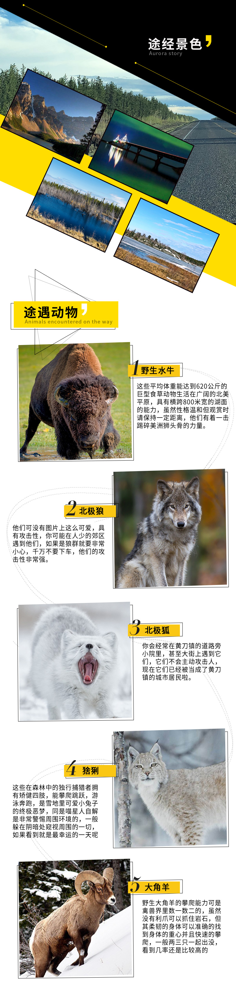 水牛之旅_02.jpg