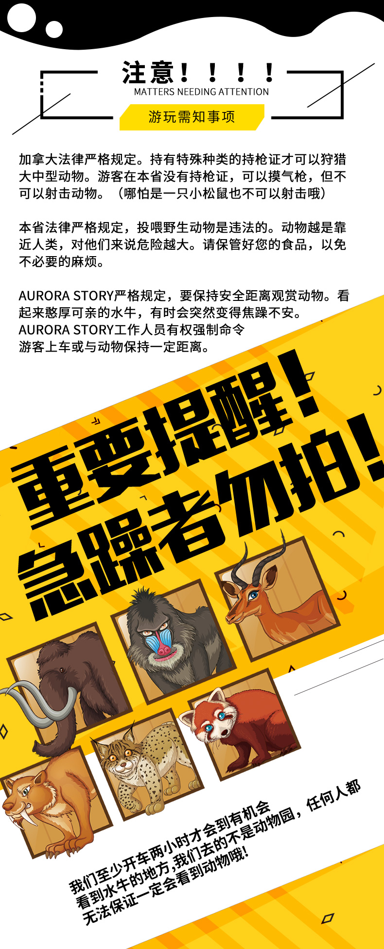 水牛之旅_05.jpg