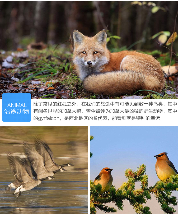 徒步_04.jpg